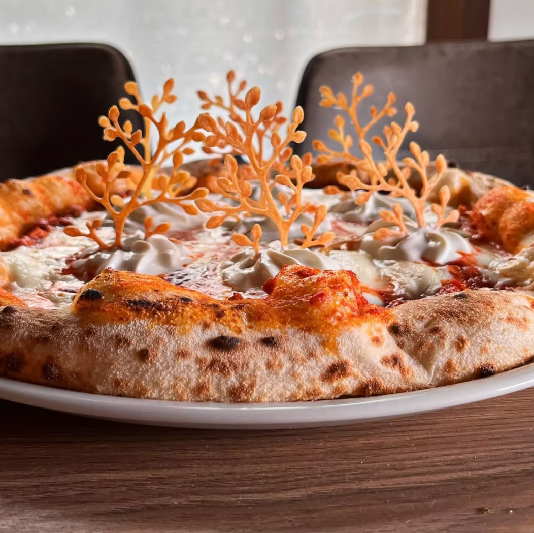 Neapolitan pizza with decorative pastry coral garnish, burrata, and San Marzano sauce